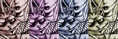 NotFromWonder's profile banner image