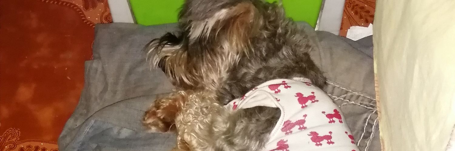 calderond025's profile banner image