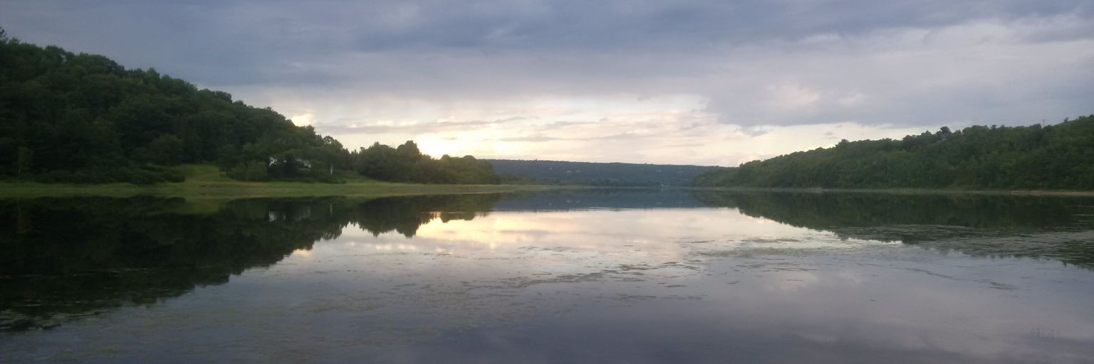 Cheryl Hansen banner