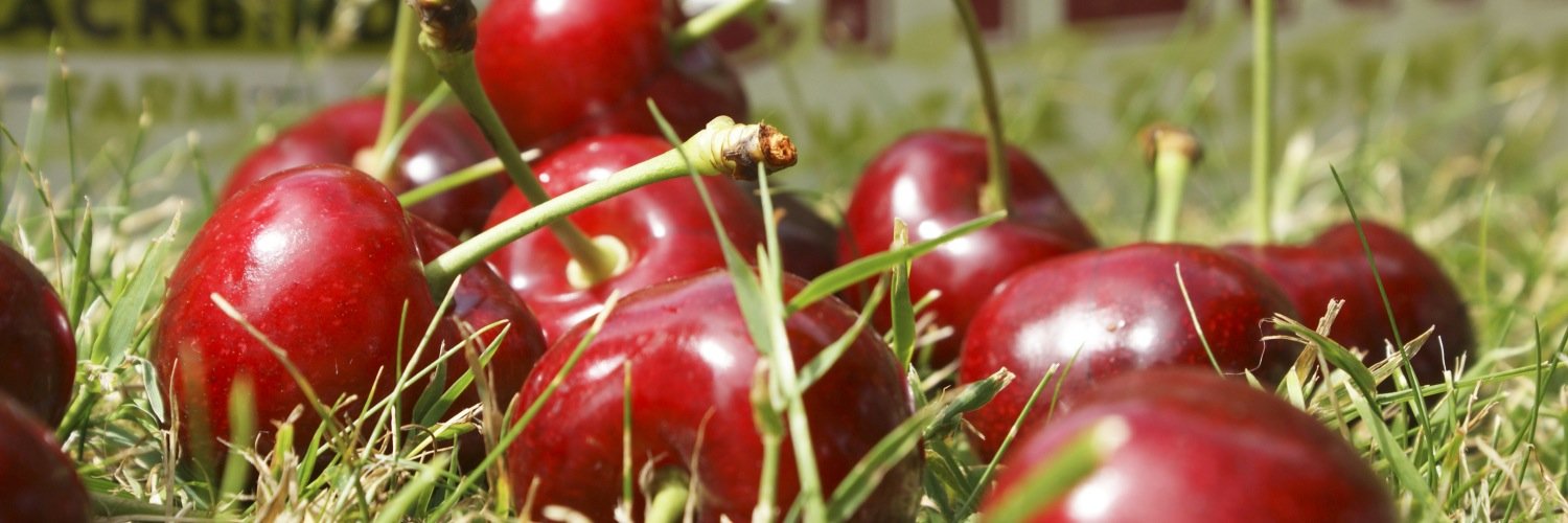 _Blackbird_Farm's profile banner image