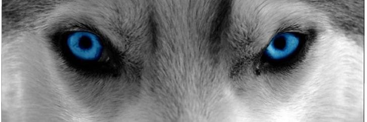Maria_hehe_Boss's profile banner image