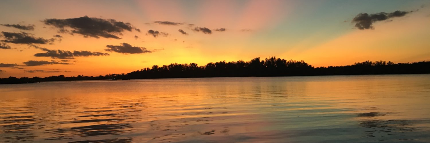 Lynn T. Matthews banner