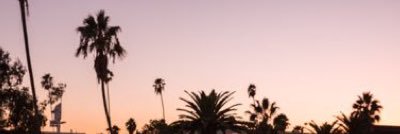 Cara_the_Monkey's profile banner image