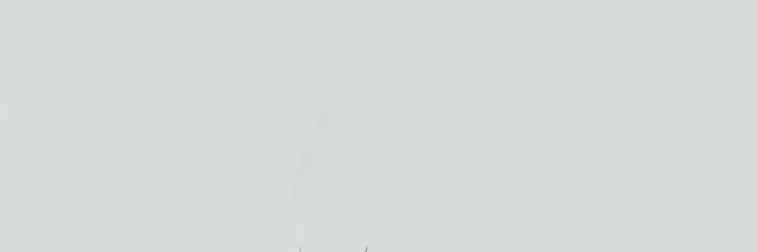 jungchaea's profile banner image