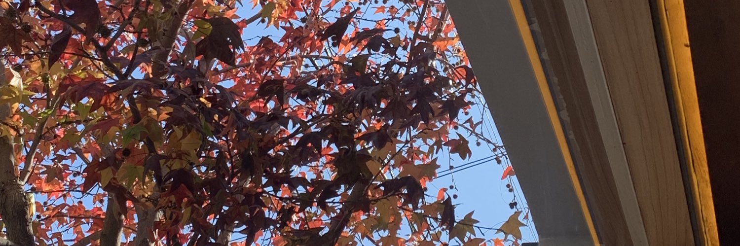 dddei_'s profile banner image