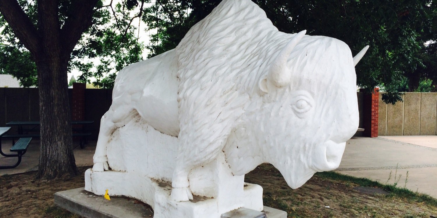 MHSBuffaloes's profile banner image