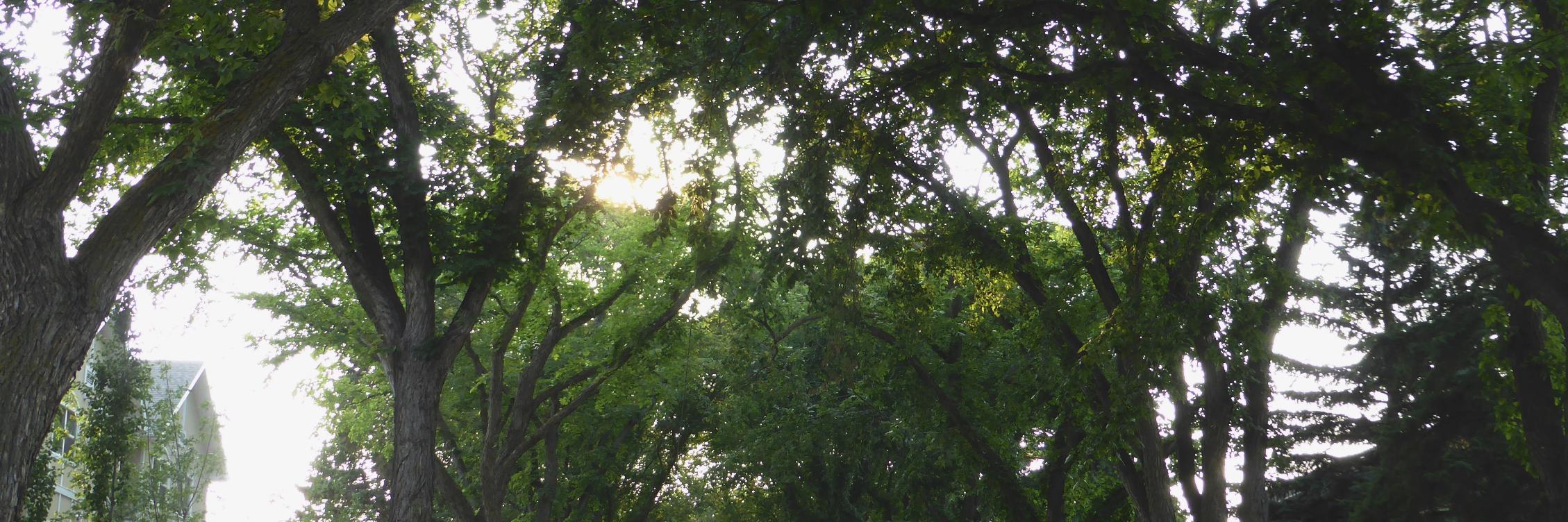 QACrossroads's profile banner image