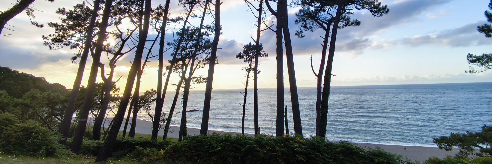 ⭐ * 𝚂𝚝𝚛𝚘𝚙𝚒𝚌𝚒𝚘 * ⭐ banner