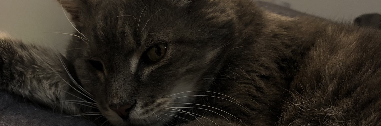 lnc_cchnrd's profile banner image