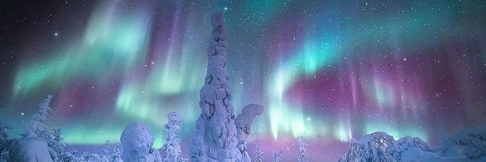 wintsprngsumaut's profile banner image