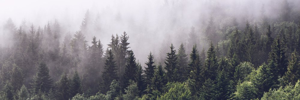 NextGen Climate IA banner