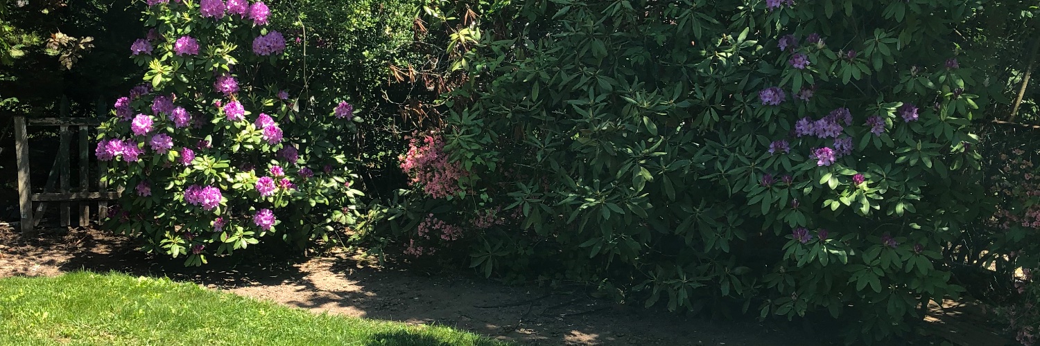 MberryFun's profile banner image