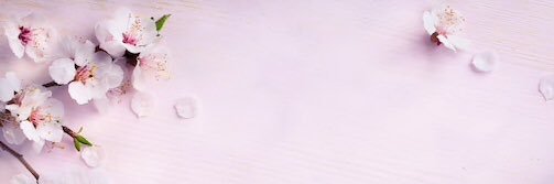 bethhsophia's profile banner image