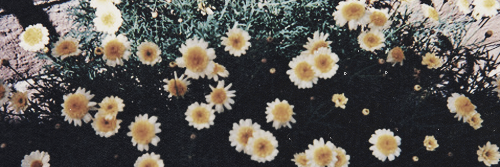 5SecsOf1Dstrong's profile banner image