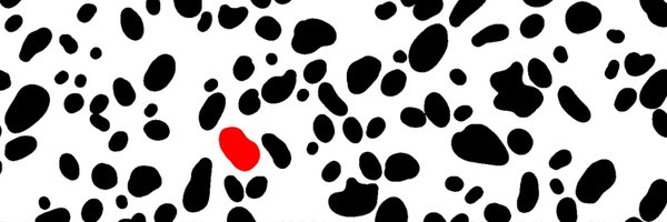 _SDCreative Profile Banner