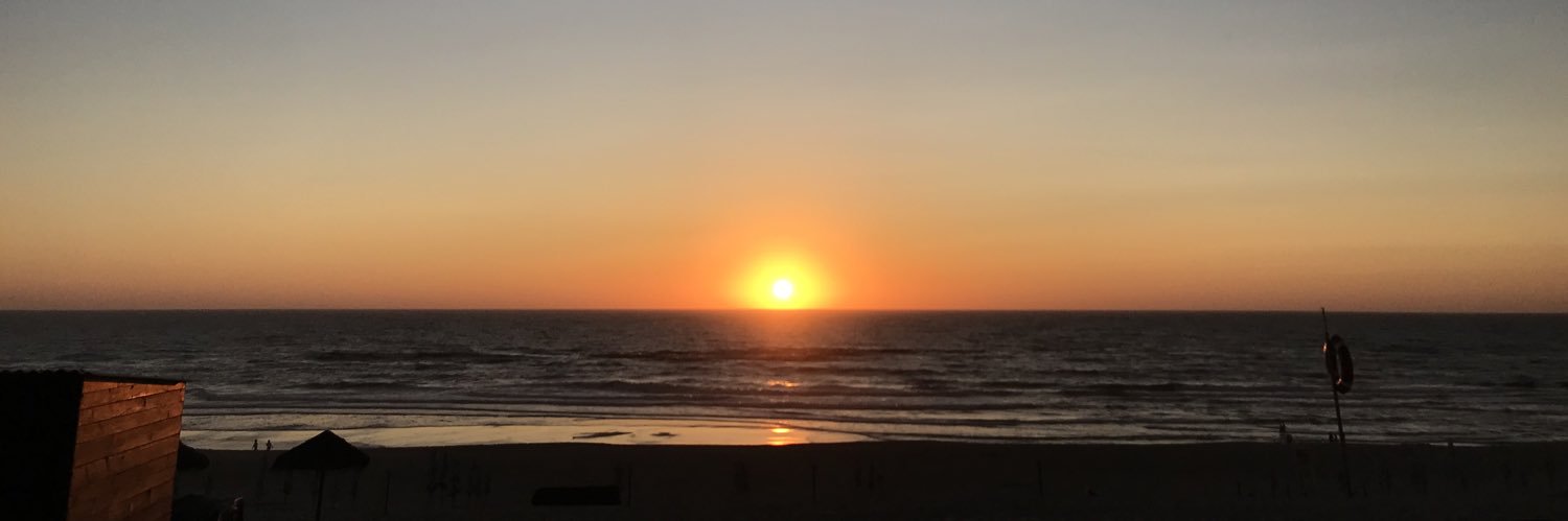 Limp_Reis's profile banner image