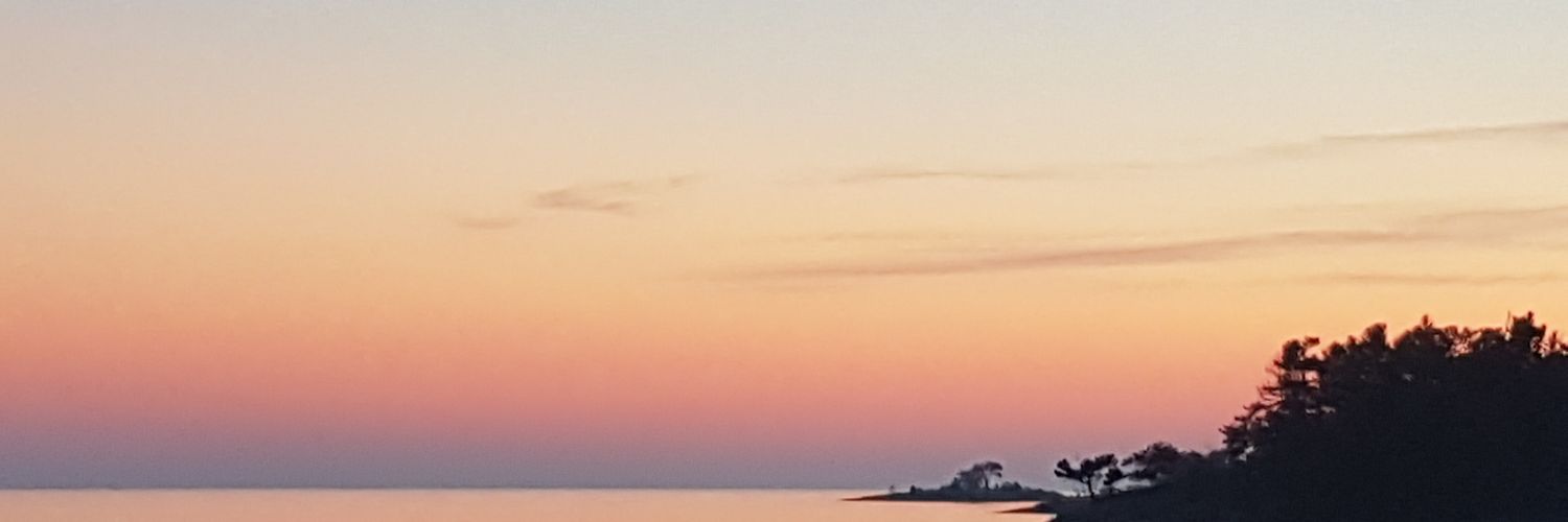 BevGrondin's profile banner image