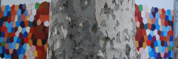 Bexmo Profile Banner