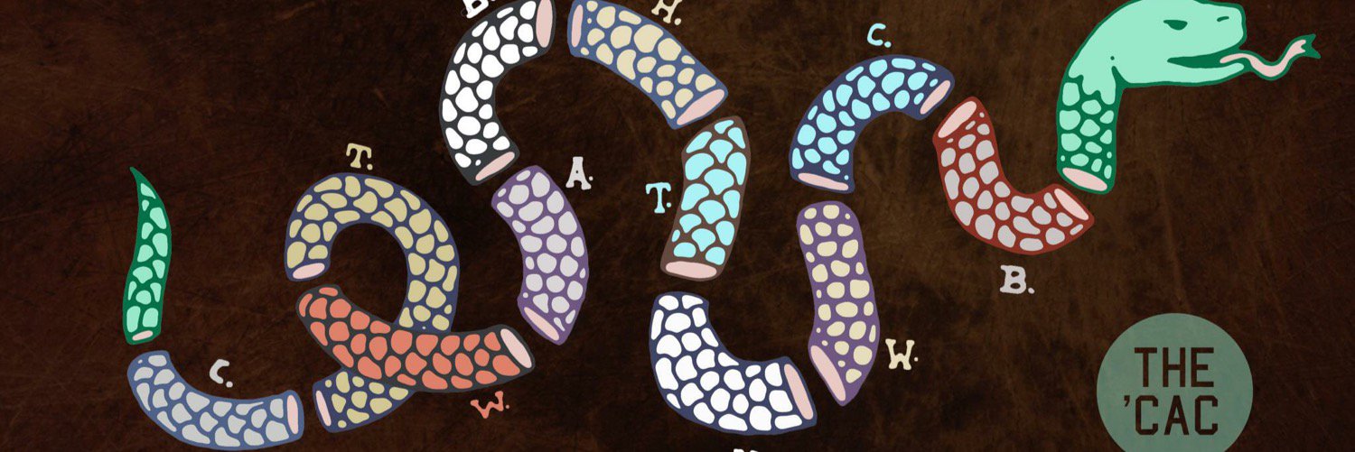 inthecac's profile banner image