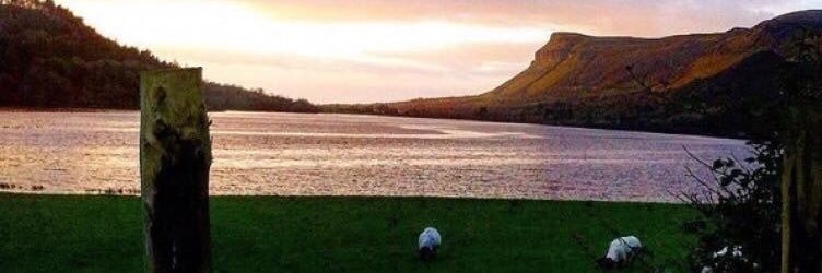 SLFineGael's profile banner image