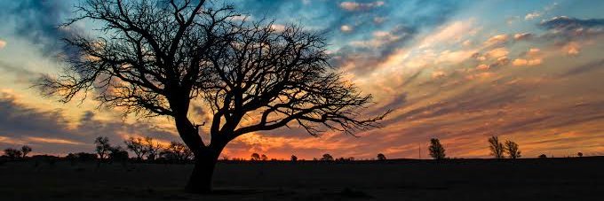 n0205461's profile banner image