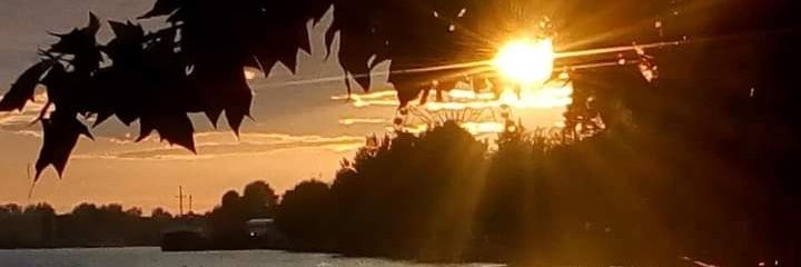 Ellesnor's profile banner image