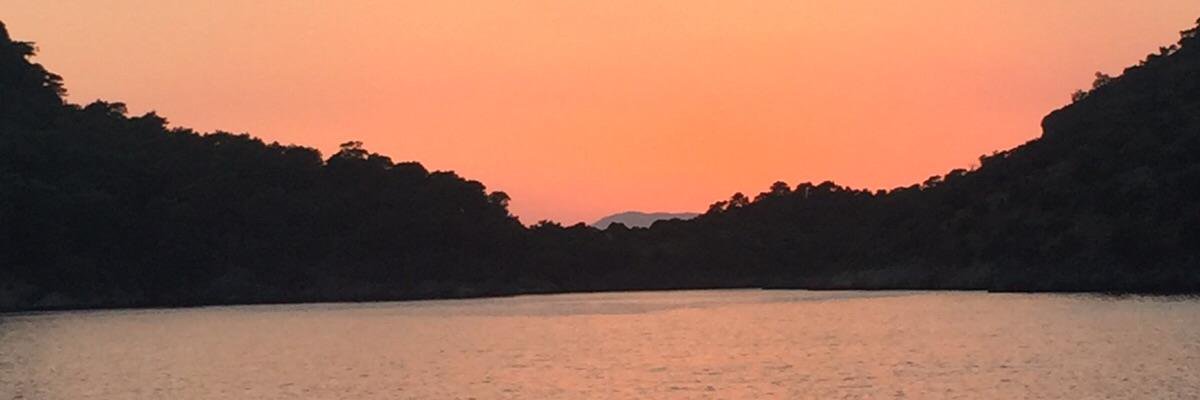 Rhi2009's profile banner image