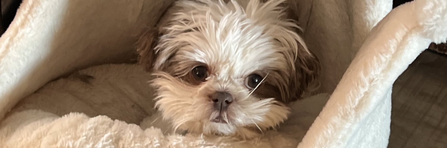 Pinkbarb27's profile banner image