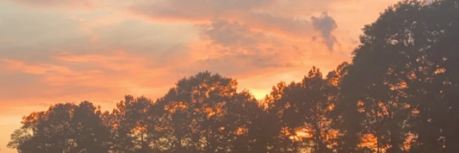 caitlinwestt's profile banner image
