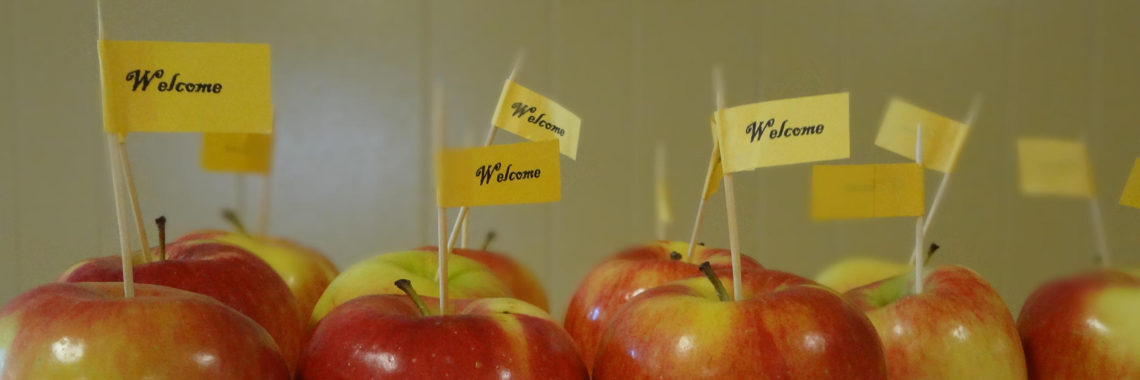 Susan Heaggans banner