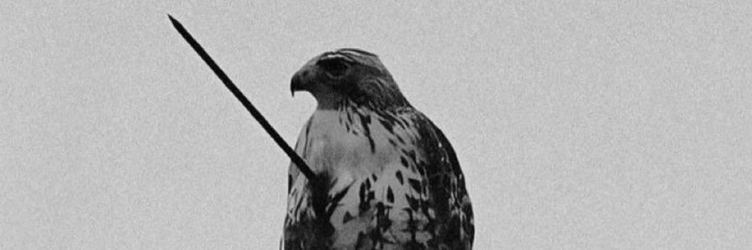 B banner