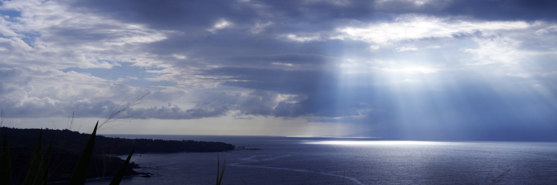 Daniel Evanko banner