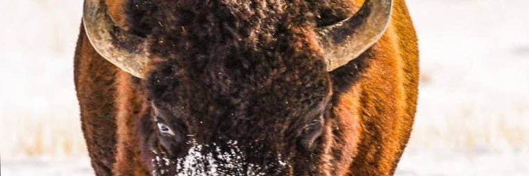 wiregrassfla's profile banner image