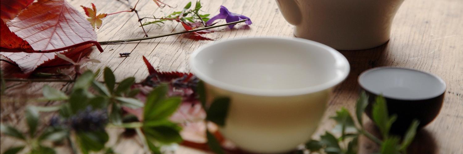 Wouter Gryson banner