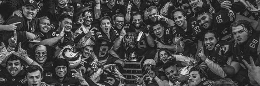 Ryan Barthelson banner