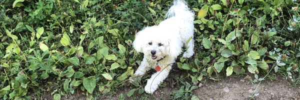 robaburto Profile Banner