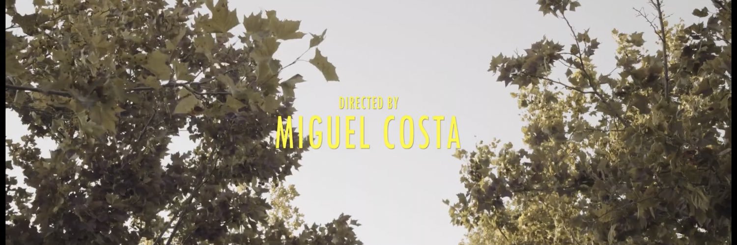 mlcostaprods's profile banner image