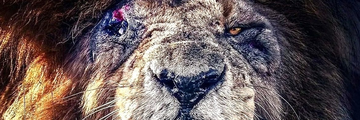 Behrouz Javid | بهروز جاوید banner