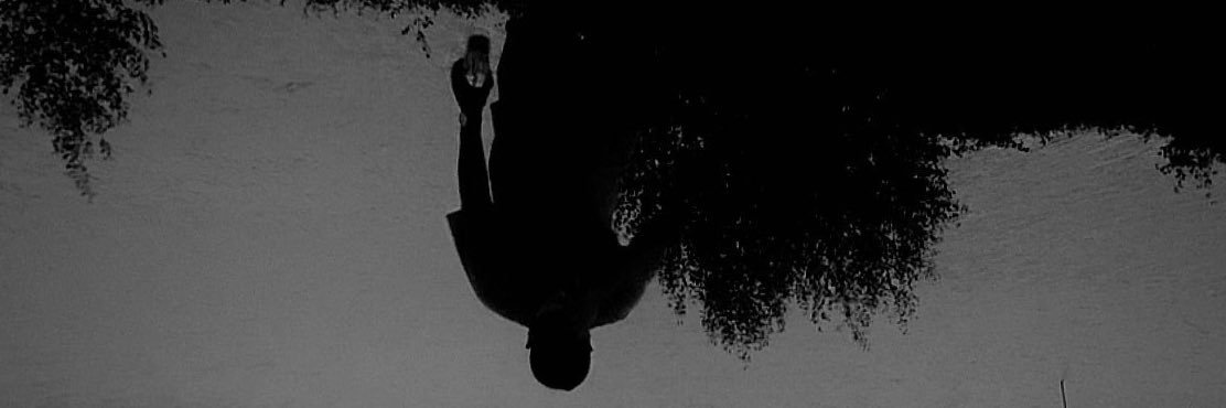 denioleo's profile banner image