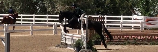 chloelynn28's profile banner image