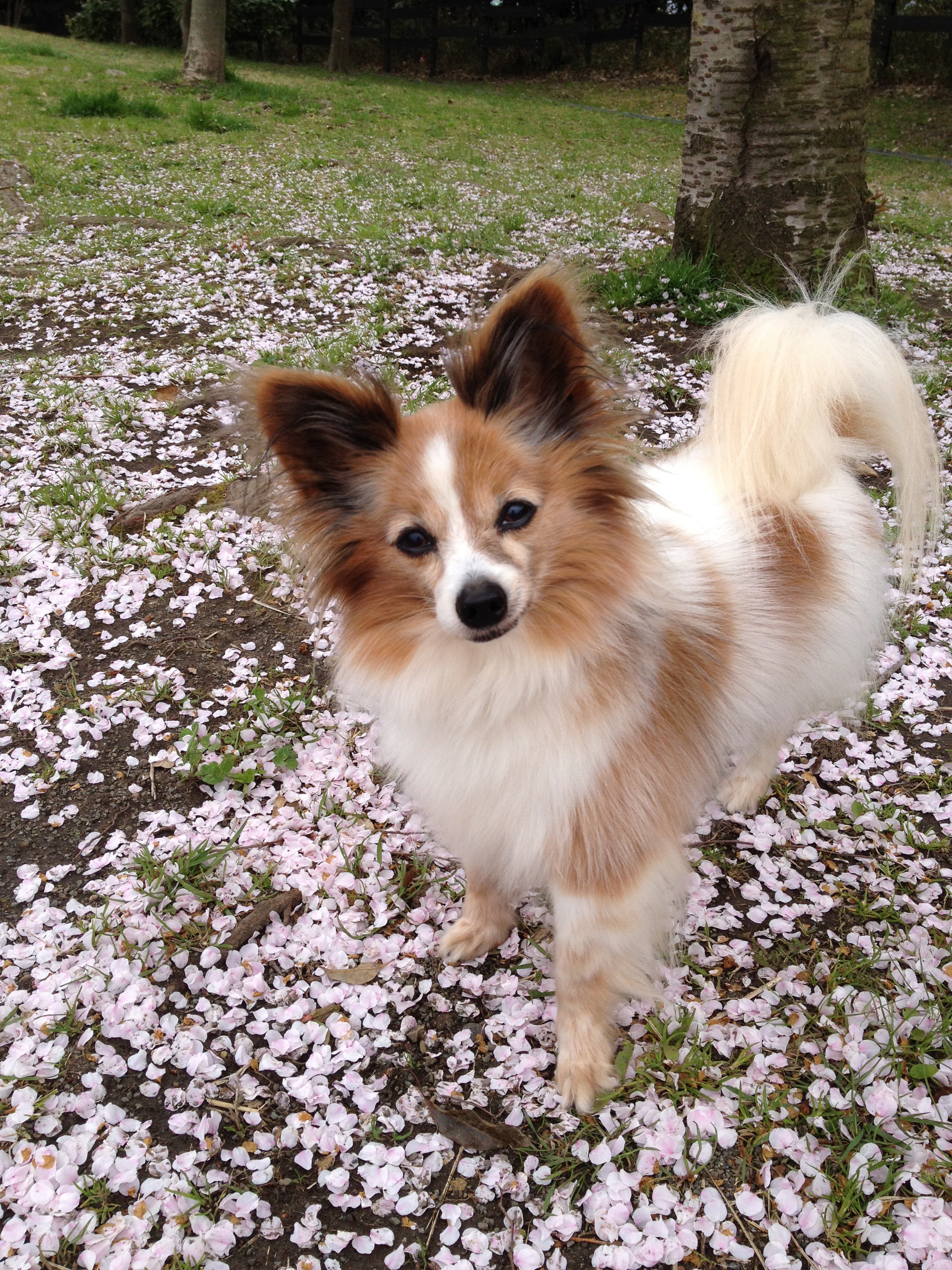 ゆうこさん banner