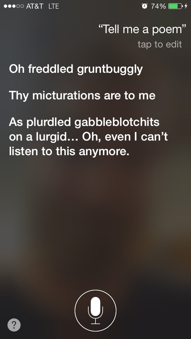 Caitlin Lowery, Ed.D. - she/her banner