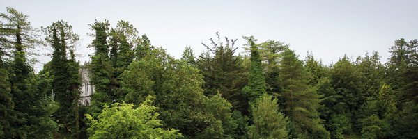 AislingORourke Profile Banner