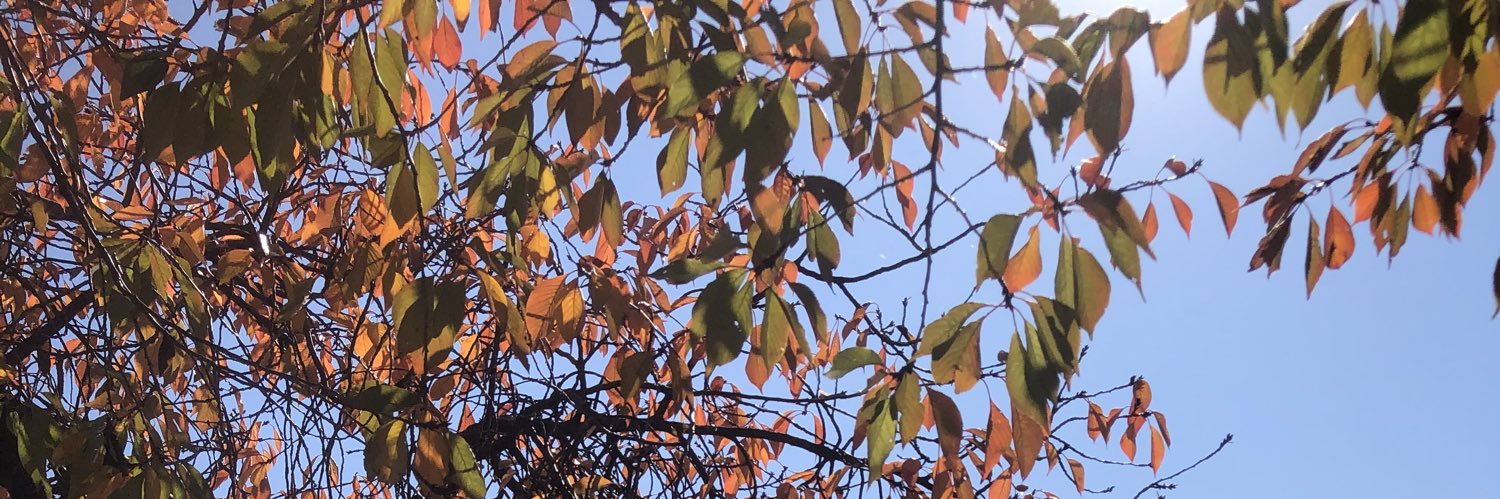 hreilly15's profile banner image