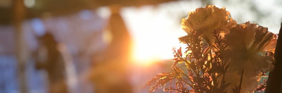 OfSeaandStone's profile banner image