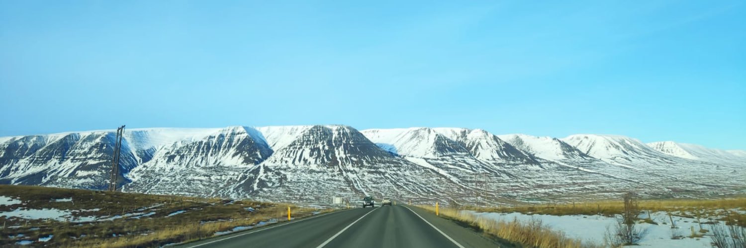 MelissaTNorth's profile banner image
