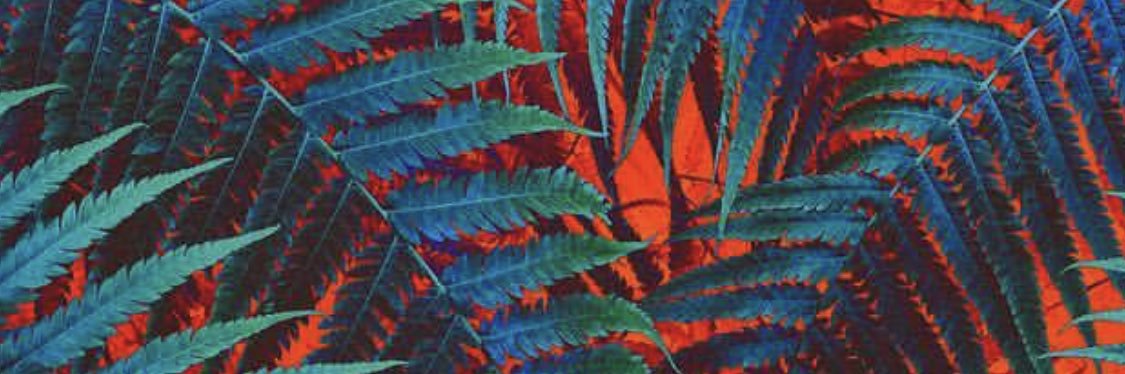 collect1vemind's profile banner image