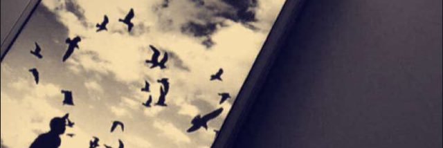 Fztooi's profile banner image