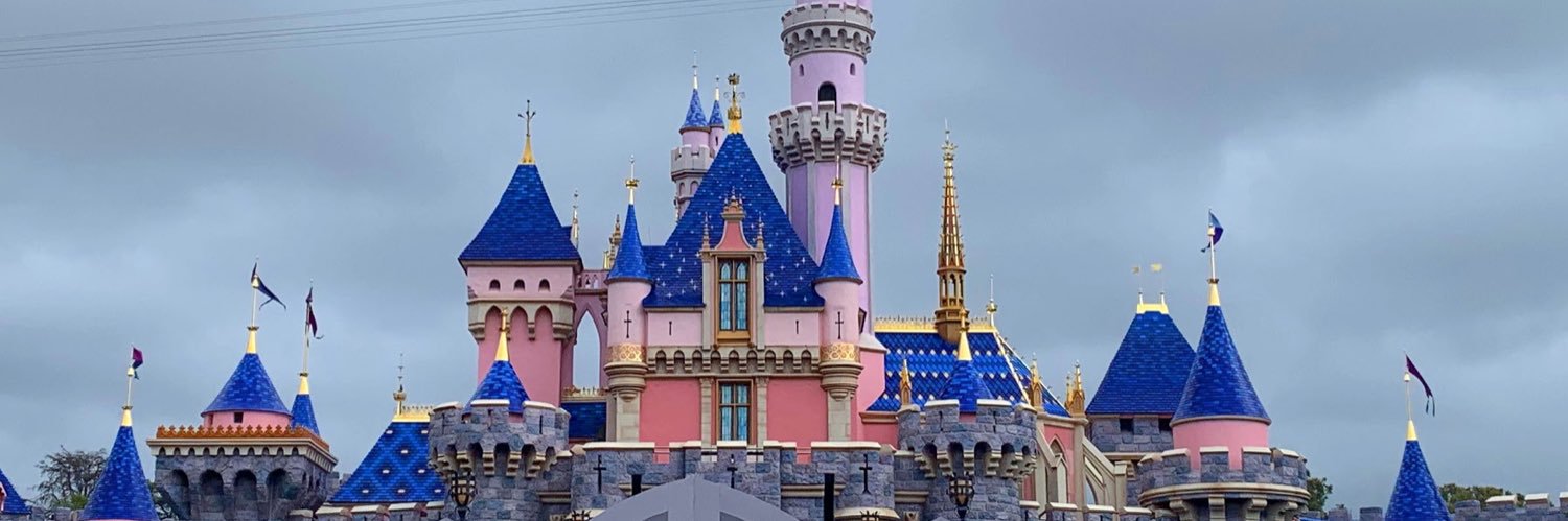 Christine Butler banner