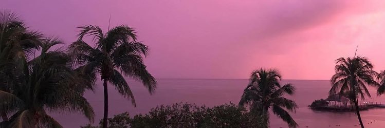 mistrettakar's profile banner image